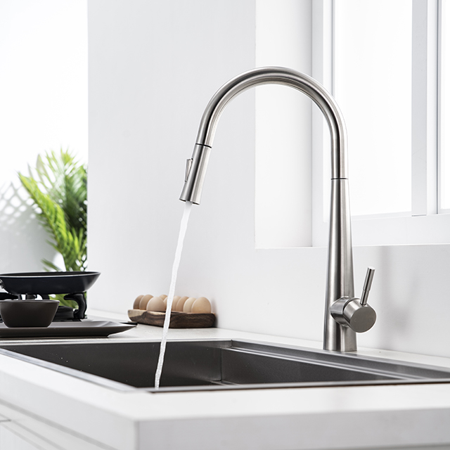 Stainless steel pull out kitchen tap