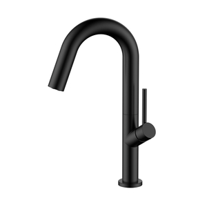Matte black stainless steel single hole kitchen bar faucet