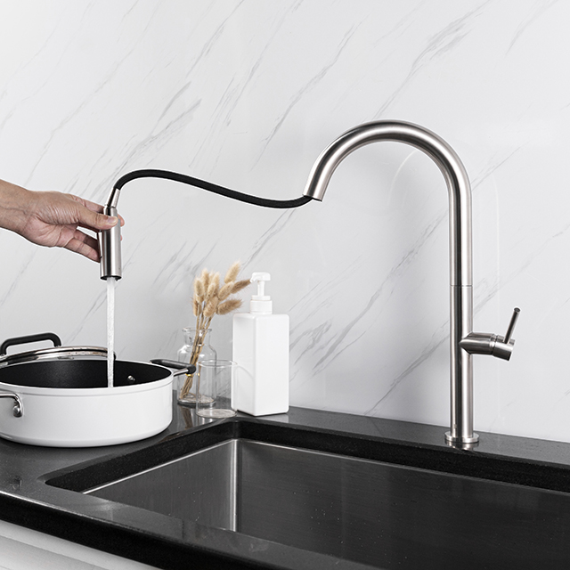Satin Stainless Steel Pull Down Kitchen Faucet