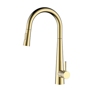Stainless steel brush gold pull out kitchen tap