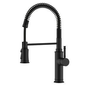Bamboo style sping coil matte black pull down kitchen faucet
